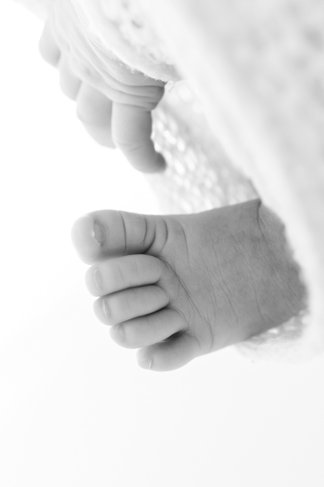 Ensaio newborn 3 - Close bebe 2